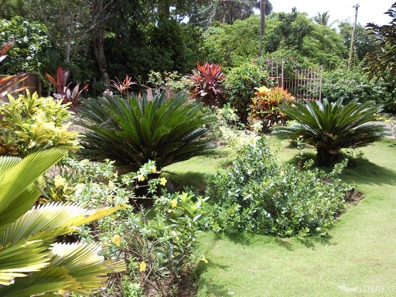 Autor: Punta Cana Just Safari